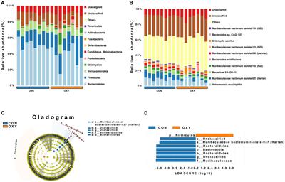 Functional metagenomic and metabolomics analysis of gut dysbiosis induced by hyperoxia